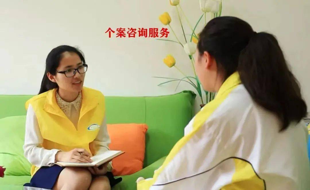 一对一个案咨询